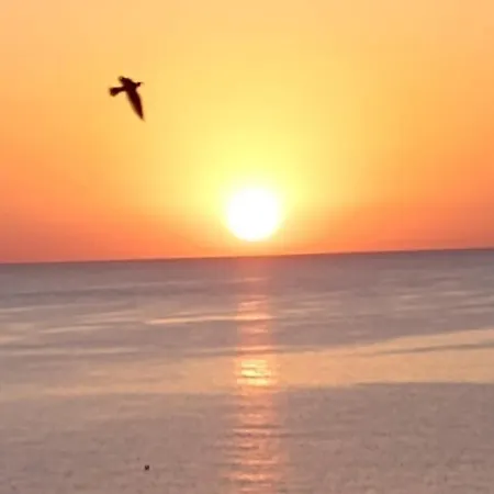Finikoudes Sunrise Sea View Lux * لارنكا